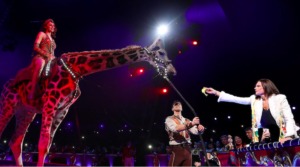 Stéphanie de Monaco Wants to Add Traditional Circus to the Heritage of Humanity