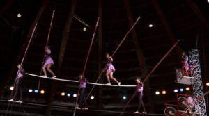 With A Net: Insurance for the Circus Arts