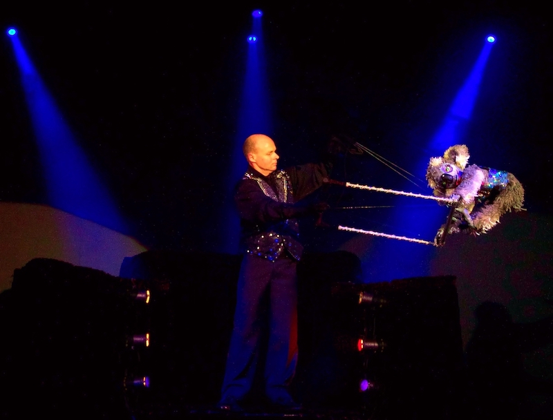 Murray Raine performs with a koala puppet on stage