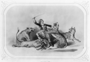 Women in circus history: Ellen Chapman, "the Lion Queen," with four big cats
