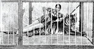 Sushila Sundari, the first Indian woman circus performer, reclines in the cage with her tiger at the Great Bengal Circus