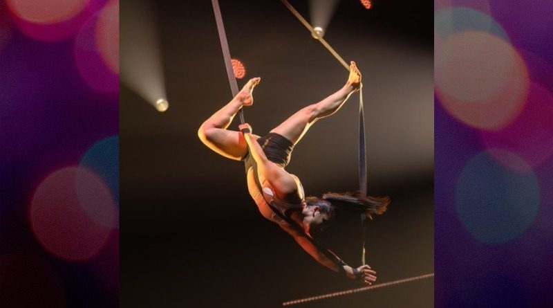 Aerial straps artist Clara Laurent at the 13th Young Stage Festival