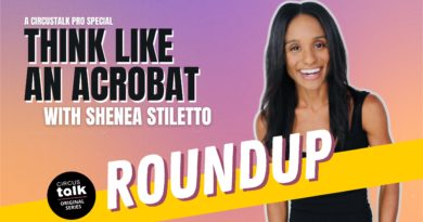 Original Series ROUNDUP – Think Like An Acrobat by Shenea Stiletto