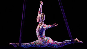 Applications Now Open for Frequent Flyers® Aerial Dance Professional Training Program