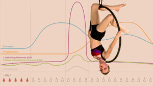 Does the Menstrual Cycle Negatively Influence the Performance of Menstruated Circus Artists?