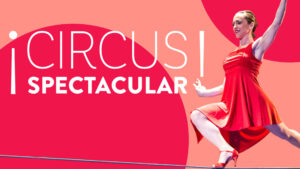 Witness the Spectacular with New England Circus