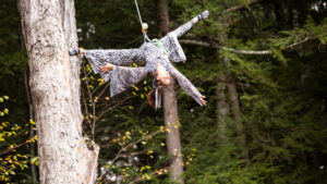 Tree Dancing: Aerial Dance Meets Outdoor Adventure Meets Spiritual Journeying