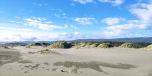 The shores of the Chiloe archipelago, Chile, a dune beach under a blue sky
