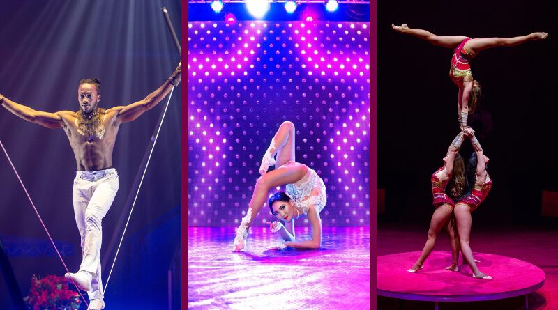 Beat The Heat With The Summer Circus Spectacular In Sarasota