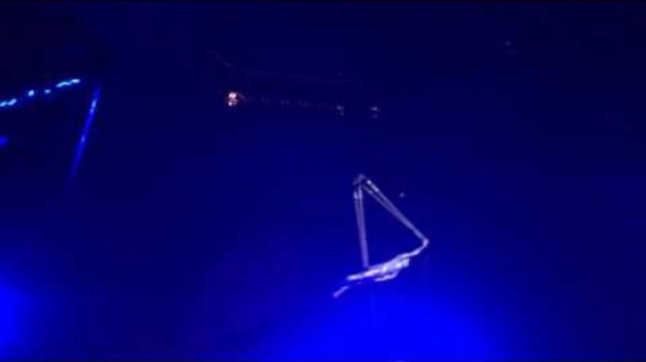 Vitalii Krymskyi Aerial Loops Robot