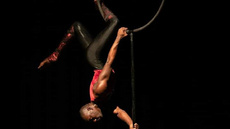 Drift(Lollipop Lyra Act) - Circus Acts - CircusTalk