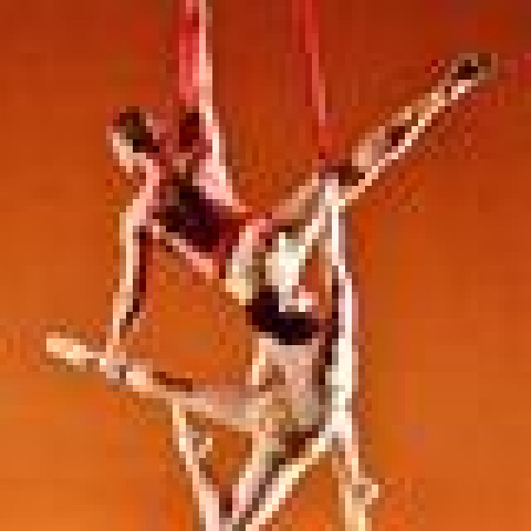 Luminario Ballet of Los Angeles - Company - United States - CircusTalk