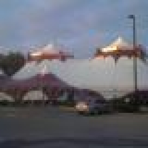 Florida state circus - School - United States - CircusTalk
