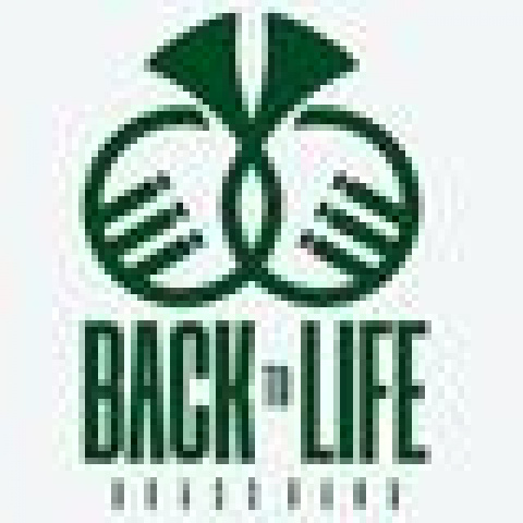 BACK TO LIFE BRASS BAND - Company - Ghana - CircusTalk