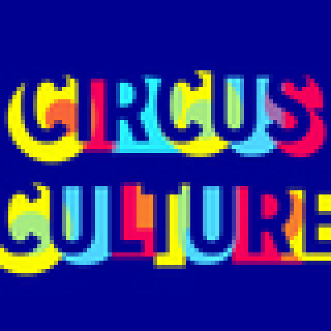 Circus Culture - School - United States - CircusTalk