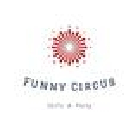 Funny Circus - School - Romania - CircusTalk