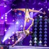 Showmatch 2022 - TV show Argentina - Circus Shows - CircusTalk