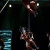 EL VIAJE DE LA TRIBU DEL INFINITO - Circus Shows - CircusTalk