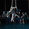 Dive In - Circus Shows - CircusTalk
