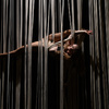 Jessica Perry- Entanged - Circus Acts - CircusTalk