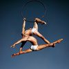 Duo Aerial Hoop - Circus Acts - CircusTalk
