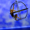 Aerial Globe - Circus Acts - CircusTalk