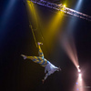 Skywalk Trapeze (Solo) - Circus Acts - CircusTalk