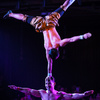 Hand Balance by Phare Circus team - Circus Acts - CircusTalk