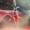 Tin Soldier and Ballerina Christmas aerial act - Circus Acts - CircusTalk