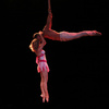 Duo Primavera aerial straps  - Circus Acts - CircusTalk