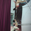 Aerial Bamboo  - Aerial Perch  - Circus Acts - CircusTalk