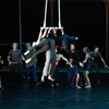 Dive In - Circus Acts - CircusTalk