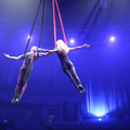 Aerial silks - Circus Acts - CircusTalk