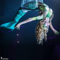 Mermaid In a Net  - Circus Acts - CircusTalk