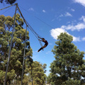 Swinging Trapeze
