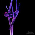 Debussy Silks by Jessica Perry
