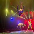 Gold jumpers  - Circus Acts - CircusTalk