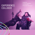 Experience Collider