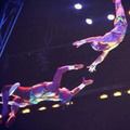 Katcher/portor flying trapeze