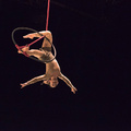 Aerial hoop solo act - Circus Acts - CircusTalk