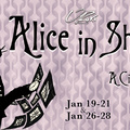 Alice in Shadowland