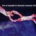 Flying Trapeze act