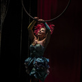 Móvil - Circus Shows - CircusTalk