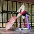 The Japanese Contortion
