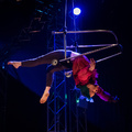 Hogwallops - Circus Shows - CircusTalk