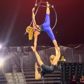 Duo Lyra - Circus Acts - CircusTalk
