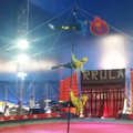 Circus RRULA