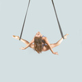 Contortion Aerial Straps