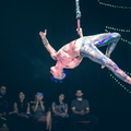 Stardust - Circus Acts - CircusTalk