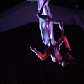 trio. voice and hammock - Circus Acts - CircusTalk